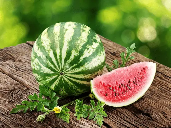خرید هندوانه زمستانی عمده + قیمت فروش استثنایی